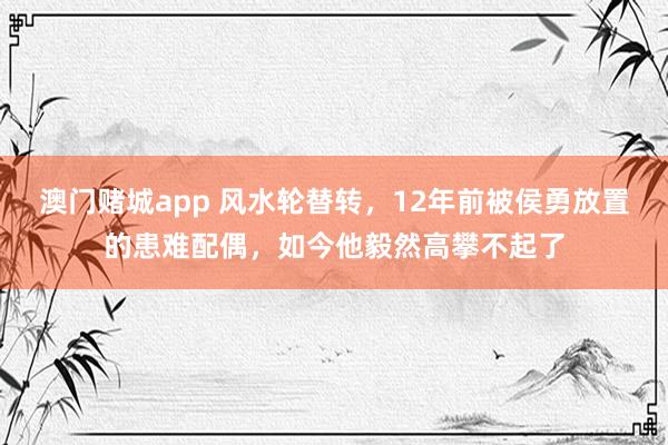澳门赌城app 风水轮替转，12年前被侯勇放置的患难配偶，如今他毅然高攀不起了