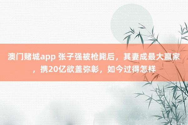 澳门赌城app 张子强被枪毙后，其妻成最大赢家，携20亿欲盖弥彰，如今过得怎样