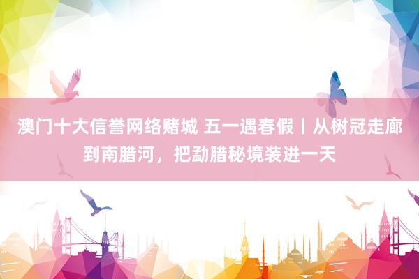 澳门十大信誉网络赌城 五一遇春假丨从树冠走廊到南腊河，把勐腊秘境装进一天