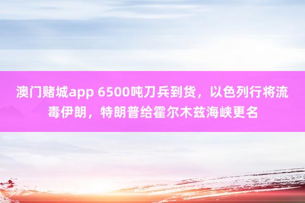 澳门赌城app 6500吨刀兵到货，以色列行将流毒伊朗，特朗普给霍尔木兹海峡更名