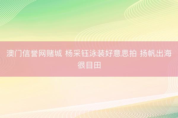 澳门信誉网赌城 杨采钰泳装好意思拍 扬帆出海很目田